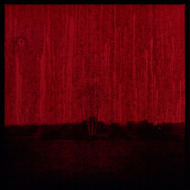 Peter Fettich, Crushed Berries