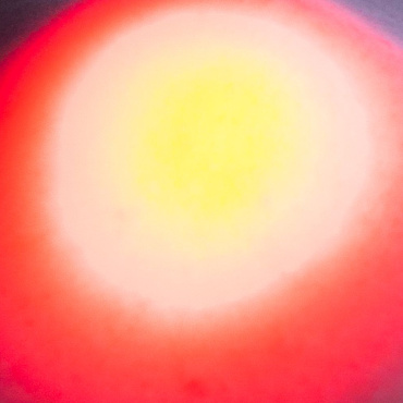 Chiara Ernandes, Still Birth